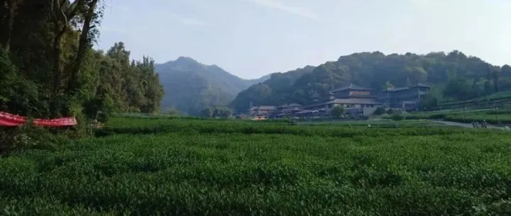 The Drinking <em>Hash</em> Run Returns: 杭州<em>Hash</em> #290重磅回归！