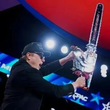 美国最新消息：“<em>DOGE</em>”还在