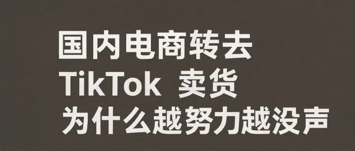 国内电商转去 TikTok 卖货，为何越努力越没声音