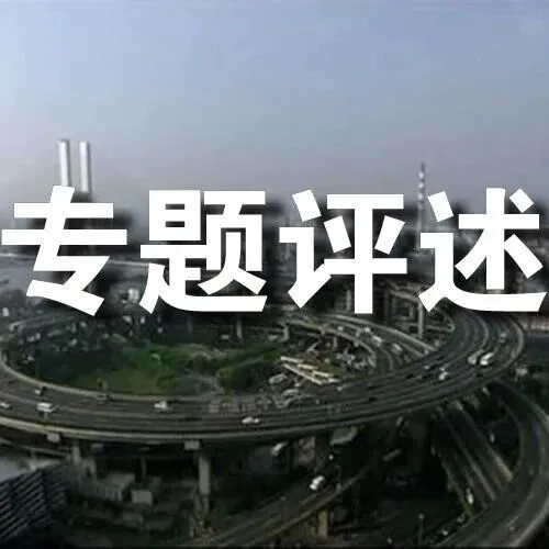 碳<em>约束</em>下，化工园区如何进行战略重构？