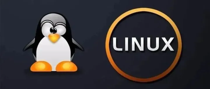 linux系统之find工具