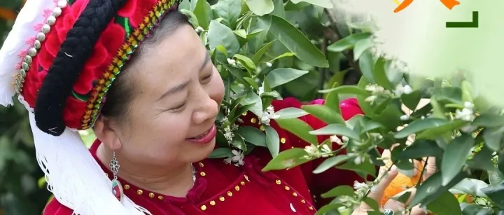 果业“<em>新</em>农人” | 张冬梅：畅通销路的“水果<em>经纪人</em>”