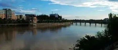 <em>Day</em> 304 从$9.99到$<em>100</em>：我的亚马逊选品价位心得