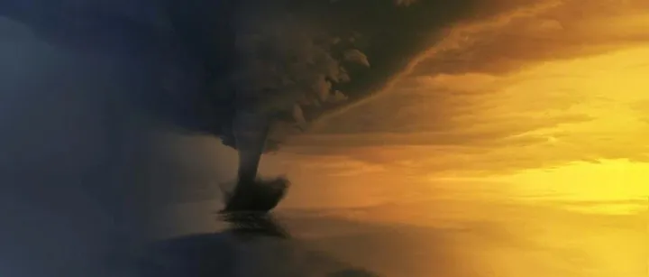 Temu报活动不踩坑，这4件事必须知道！