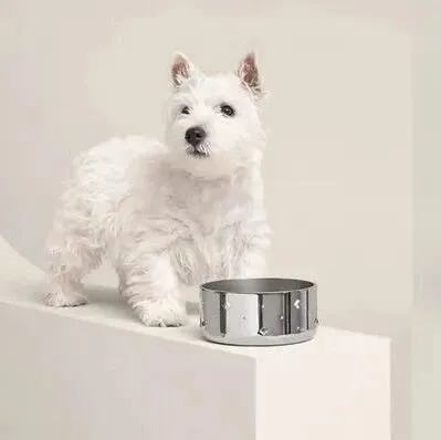 爱马仕新<em>上</em>架2万元不锈钢狗碗，<em>客服</em>：只剩少量库存