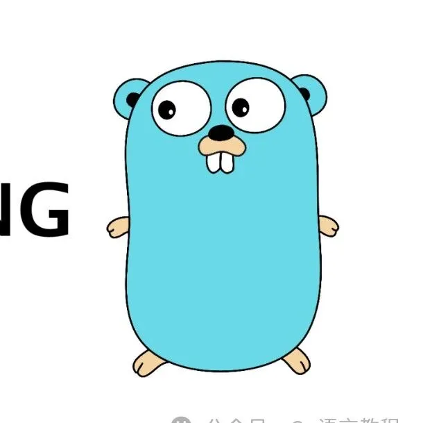 Go 程序太大了，能要个延迟<em>初始化</em>不？