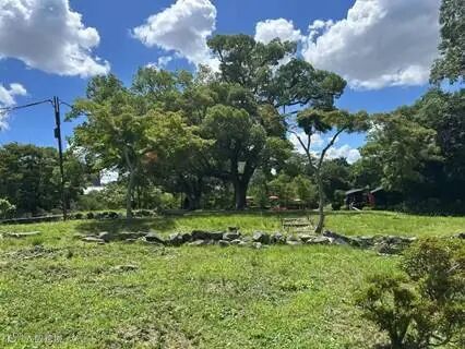 草地上有许多树

AI 生成的内容可能不正确。