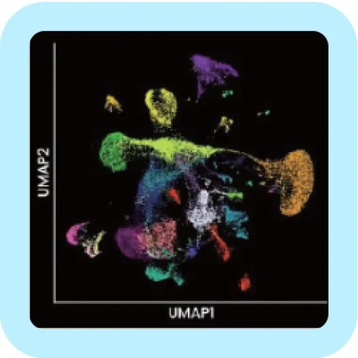 Nature <em>Methods</em> 验证：无需设备分析空间转录组