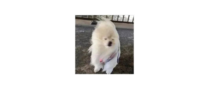 “<em>cold</em> feet”可不是“脚冷”，真正的意思你绝想不到！