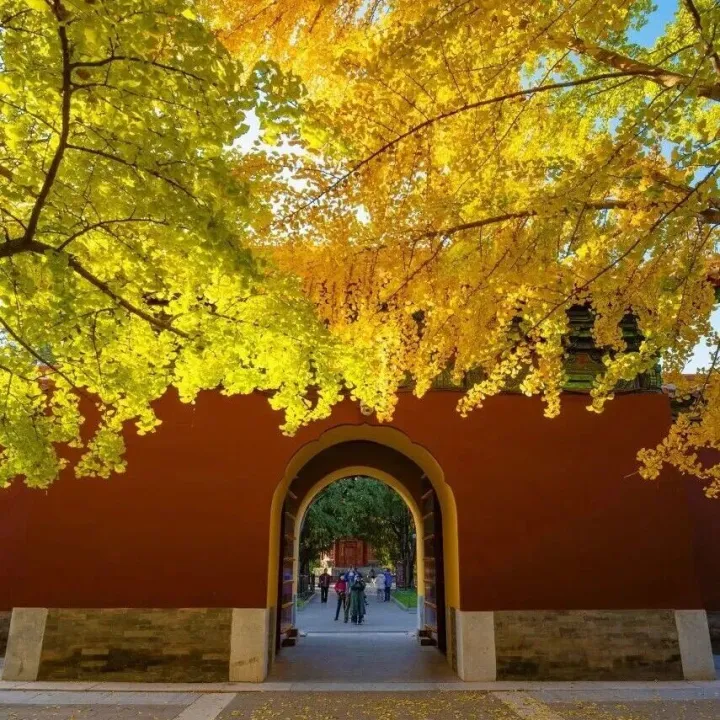 <em>国家地理</em>力荐！<em>中国</em>秋色封神的地方，你去过几个？