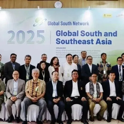 <em>Intellectual</em> Awakening of the Global South