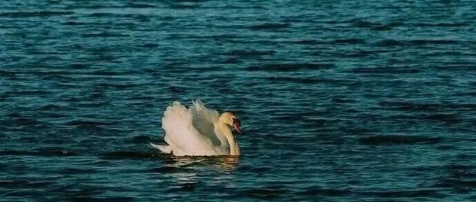 亚马逊陪跑<em>课程</em><em>学习</em>笔记2