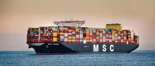 注意！MSC率先宣涨，12月15日实施！