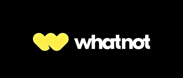在 Whatnot 卖“特货”？教你偷偷把客户引到自己网站