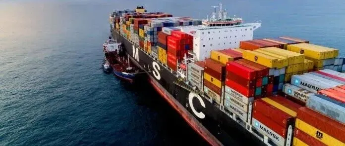 涨价！MSC再次上调北欧和地中海运价！12月15日实施