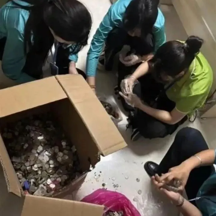 Chinese zoo refunds, donates wishing-pond <em>coins</em> to ill toddler