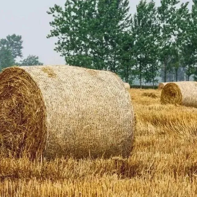 常德的秸秆远销<em>阿拉善</em>！