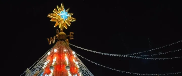 9 Sunday Free Picks 11.23 初冬周日自由选单