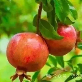 20<em>个</em>作文模板，可直接套用，标题+<em>开头</em>+结尾！