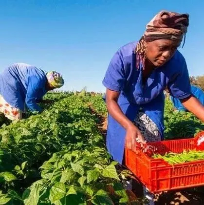 <em>撒哈拉</em><em>以南</em>非洲地区肥料贸易情况：前十大化肥进口国