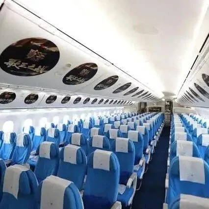 <em>东航</em>、南航、<em>国航</em>、<em>海航</em>、春秋等10家航司被约谈