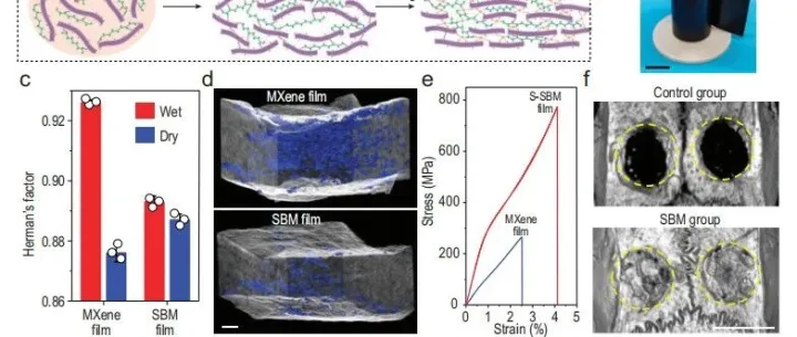 郑州大学工业装备结构分析优化与CAE<em>软件</em>国家重点实验室、国家聚合物加工<em>研究中心</em>--高性能MXene薄膜的连续桥接法制备