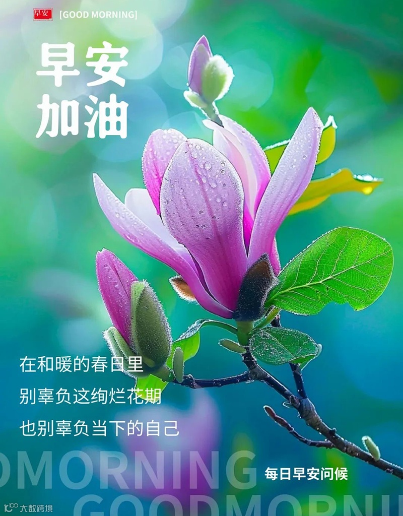 早上好情人暧昧问候图片- 抖音, image size:800x1024
