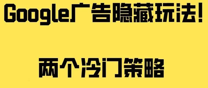 Google Pmax广告实操：两招野路子，精准收割与全域种草双管齐下