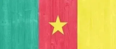 喀麦隆COC申请流程