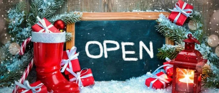 北美商家年末运营避坑清单：Go3 帮您稳接旺季客流