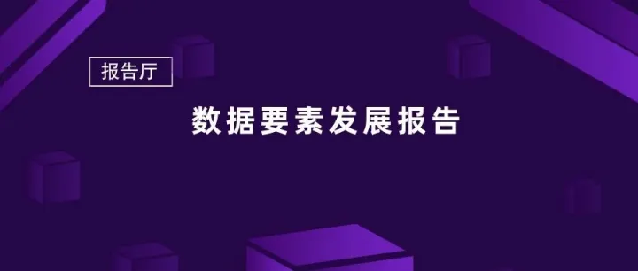 <em>数据</em>要素<em>发展</em>报告（2025年）