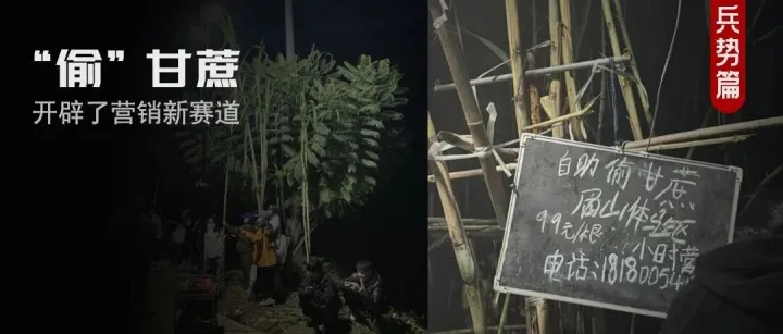 9.9元“偷”甘蔗，互动营销高手在民间！