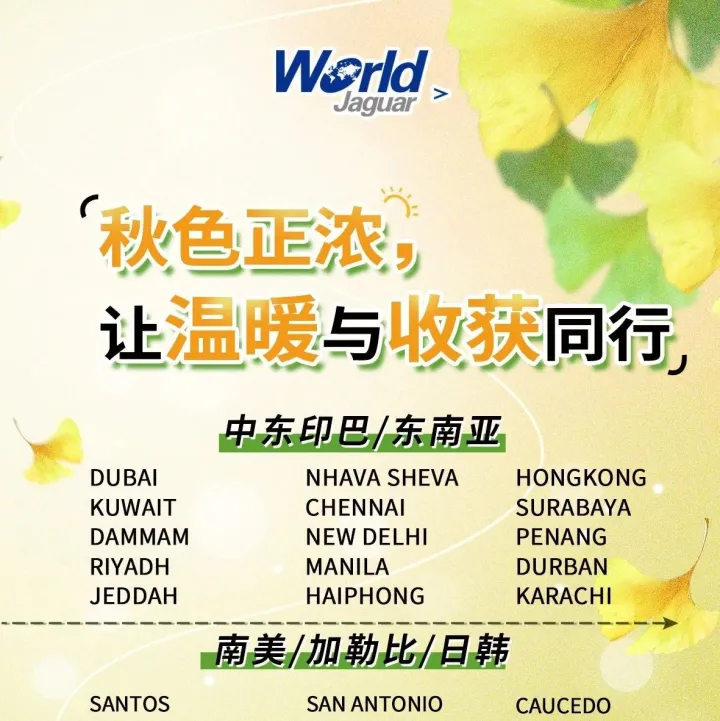 万嘉青岛|秋色正浓，让温暖与收获同行