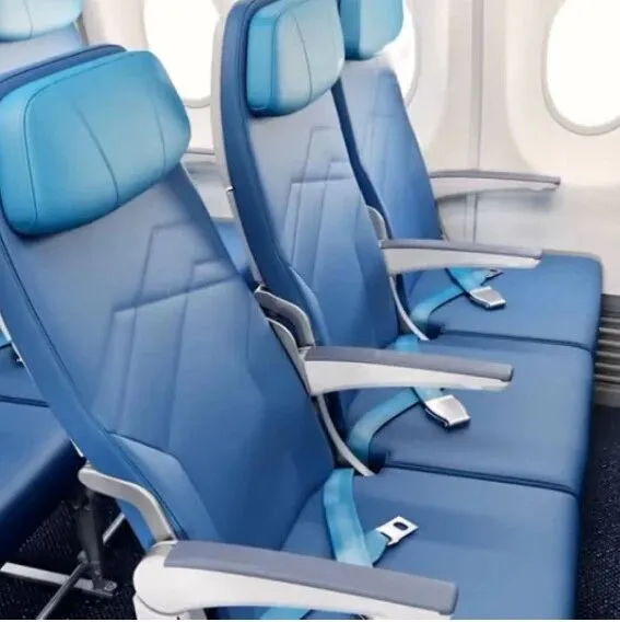 <em>吃相</em><em>难看</em>! 加拿大航司本月开收"座椅倾斜费": 经济舱想后仰, 只能加钱!