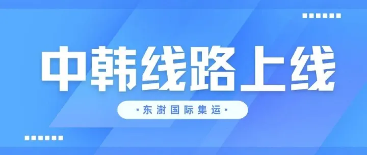 东澍国际集运|中韩线路炸场上线 在韩党直接冲就对了！
