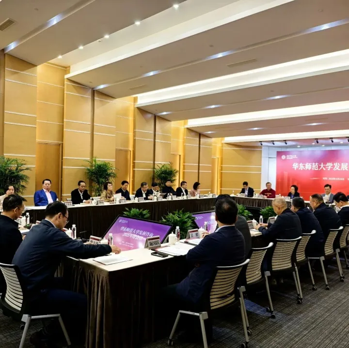 丁佐宏参加华东师大发展咨询2025年度会议并作交流