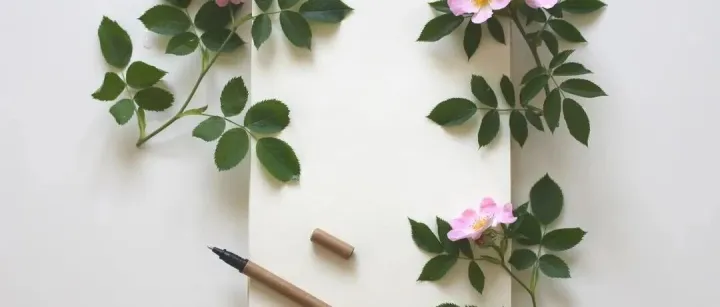 作文<em>开头</em>怎么写？12<em>个</em>绝妙技巧，让孩子下笔如有神！