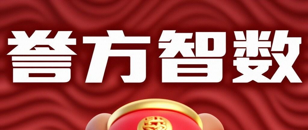 誉方医管诚招区域代理商- 大数跨境