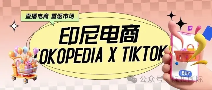 Tokopedia联合Tiktok2023年印尼用户购物趋势分析