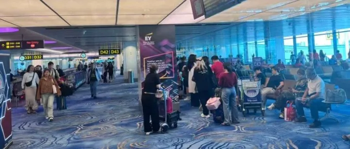 新的搞钱风口！国际IP！