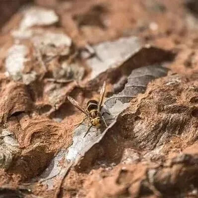 “成本500<em>售价</em>5000”！是商机还是骗局？