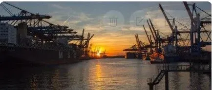 与美国达成零关税！