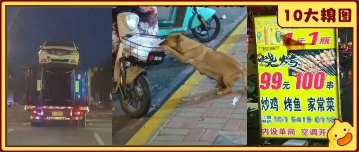 吃到肚子抽搐，我<em>夸</em><em>老板</em>在想方设法燃烧我<em>的</em>脂肪｜10大糗图