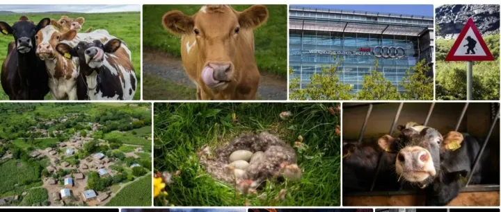 Keith律所代理冰岛艺术家Birkir Eythór Asgeirsson发起版权诉讼，涉及1张版权图