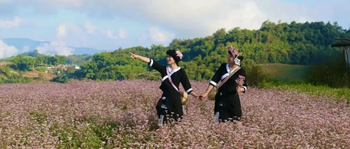 晨讀<em>臨滄</em>