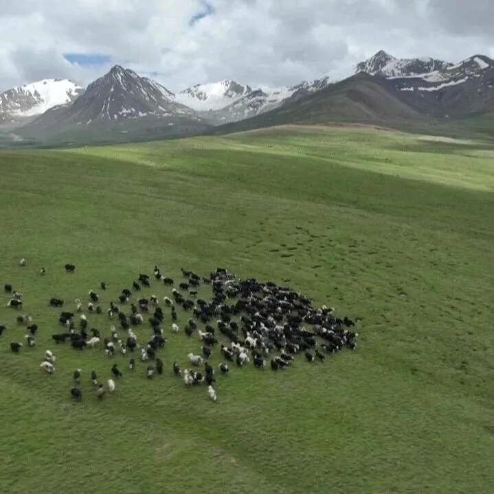 【<em>那曲</em>身边事】（九百三十二）草场流转“转”出生态民生双丰收——<em>那曲</em>市探索草原保护与牧民增收新路径