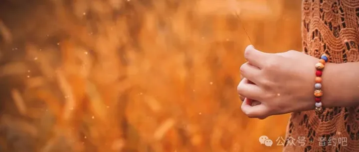 在荆棘中寻找星光：<em>歌曲</em>《象人》深度赏析