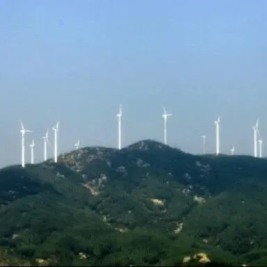 携手记丨特区与小城，汕头<em>鹤岗</em>如何重塑城市基因