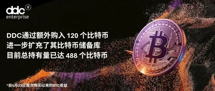DDC通过额外购入120个比特币，进一步扩充了其比特币储备库，目前总持有量已达 488 个比特币。