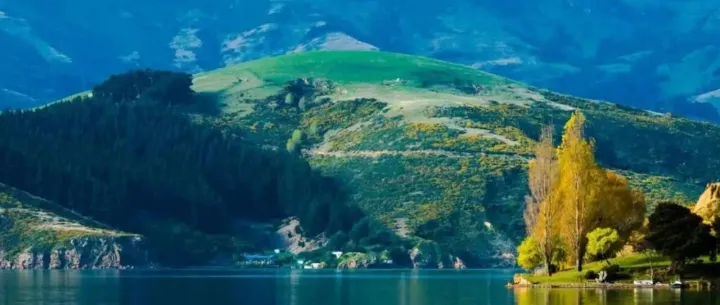 2025最后一次S级大促，12月1688采购节，错过再等一年！